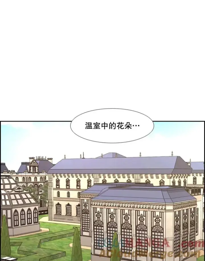 漫画《鲨鱼》246.天才与天才的对战第61张图