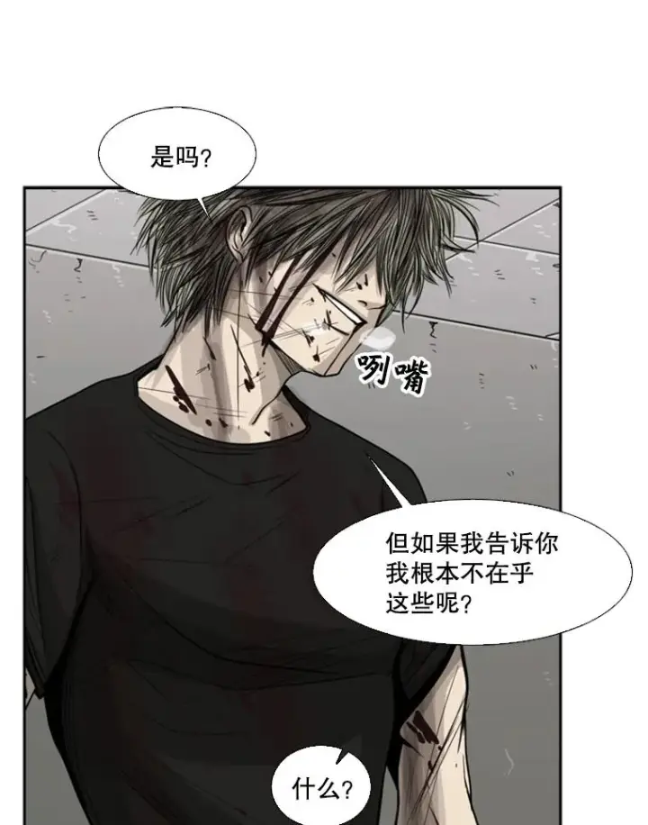 漫画《鲨鱼》28.确定第12张图