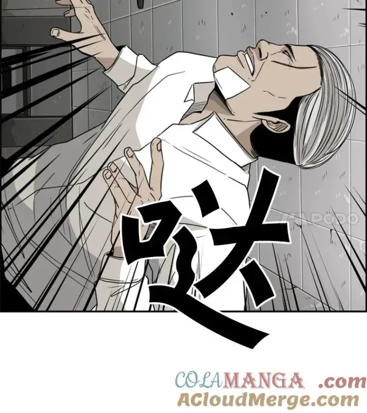 漫画《鲨鱼》28.确定第25张图