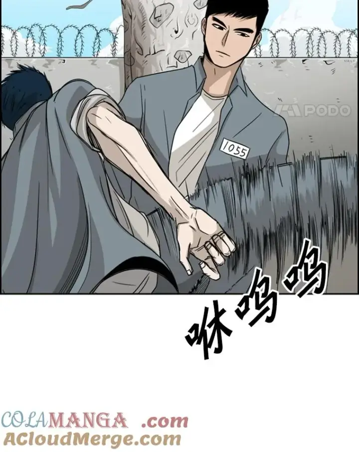 漫画《鲨鱼》28.确定第97张图
