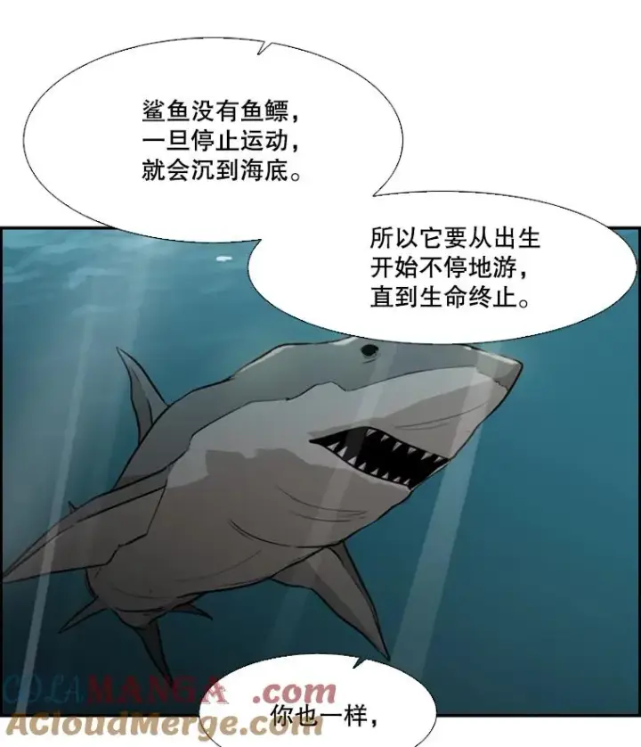 漫画《鲨鱼》33.离别第89张图