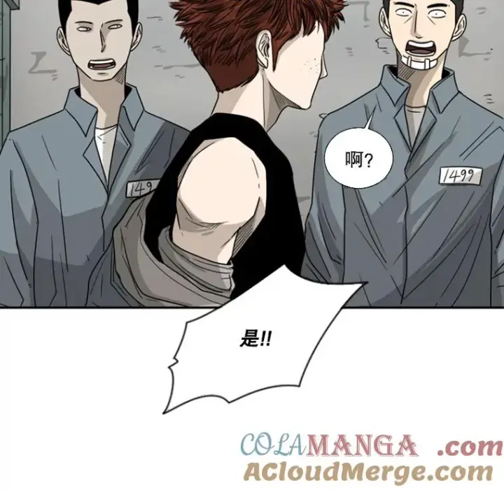 漫画《鲨鱼》42.约战第57张图