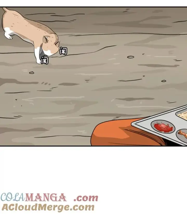 漫画《鲨鱼》47.接近第73张图