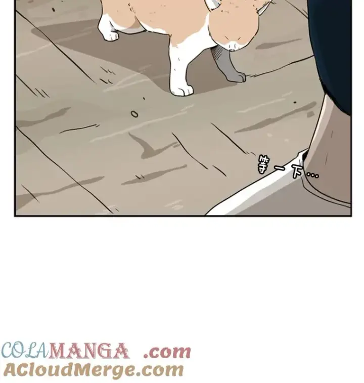 漫画《鲨鱼》47.接近第85张图