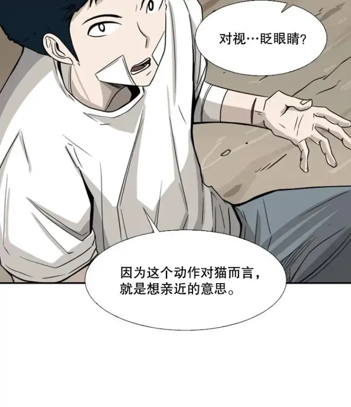 漫画《鲨鱼》47.接近第96张图