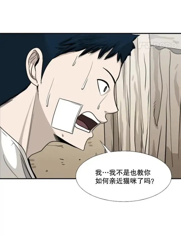 漫画《鲨鱼》48.示范第24张图