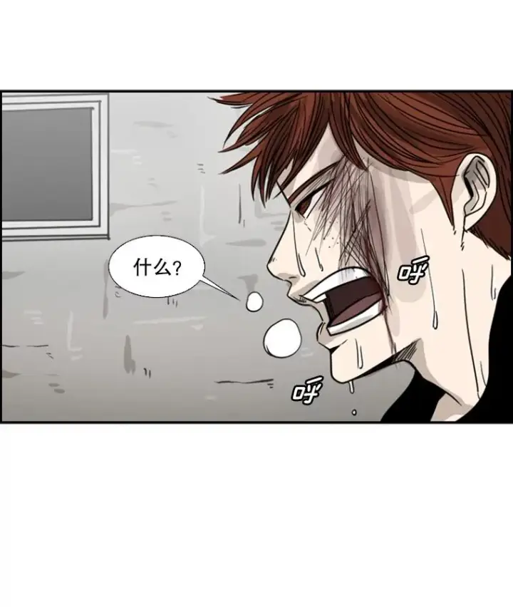 漫画《鲨鱼》51.不死鸟第102张图