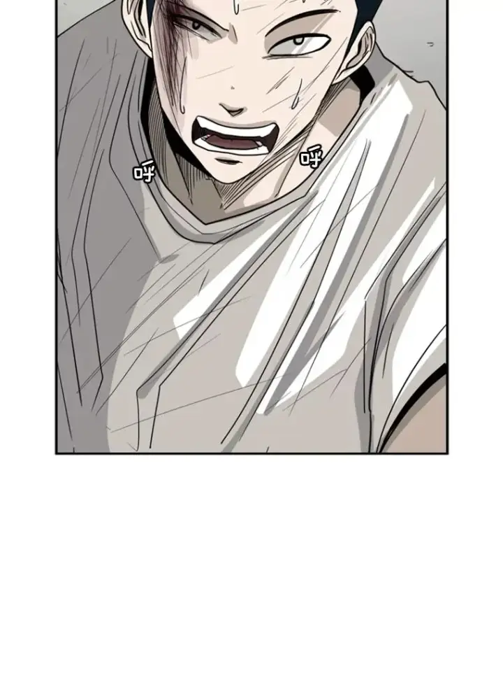 漫画《鲨鱼》51.不死鸟第47张图