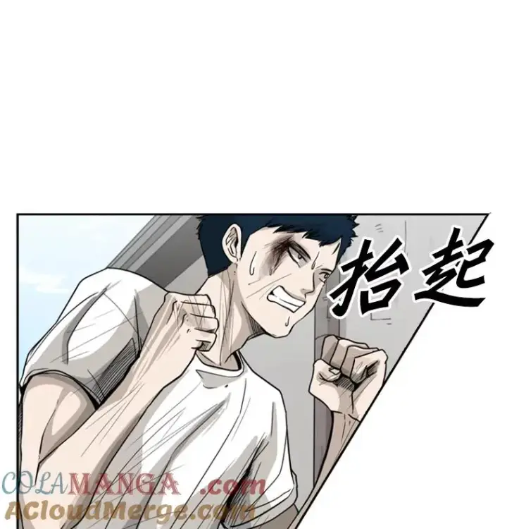 漫画《鲨鱼》51.不死鸟第61张图