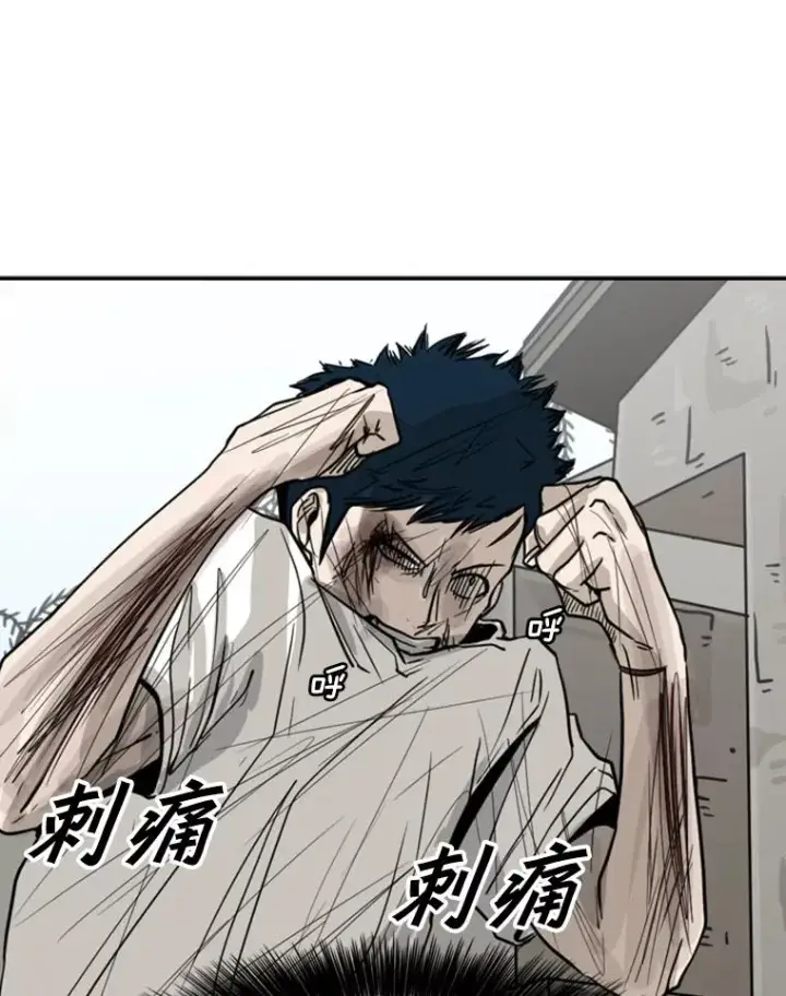 漫画《鲨鱼》51.不死鸟第79张图