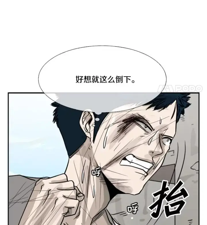 漫画《鲨鱼》51.不死鸟第82张图