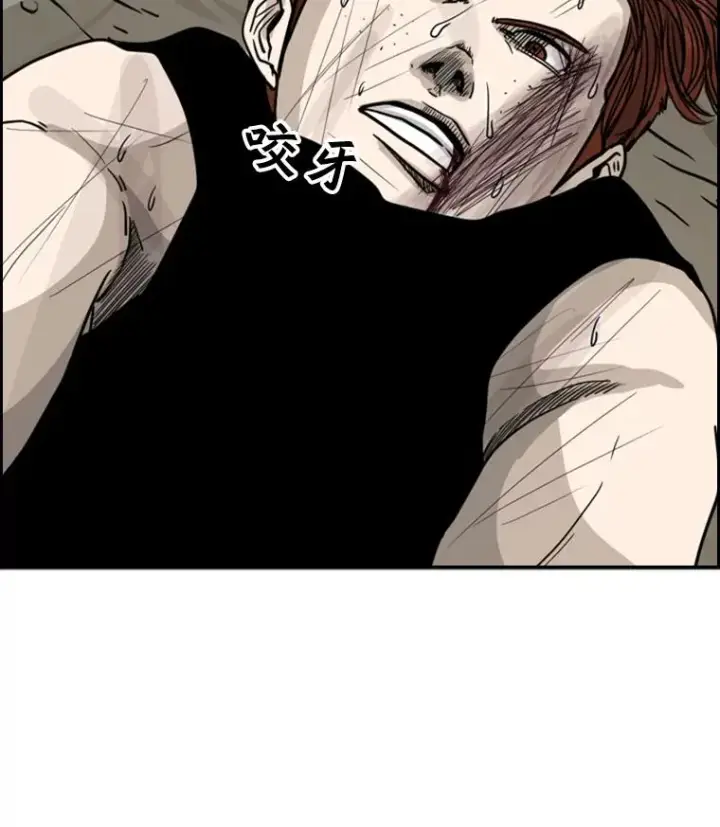 漫画《鲨鱼》52.战斗结束第28张图