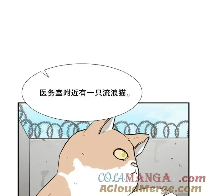 漫画《鲨鱼》55.和平协议第17张图