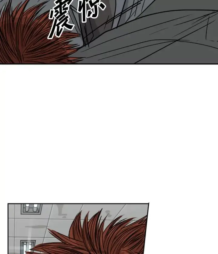 漫画《鲨鱼》55.和平协议第64张图