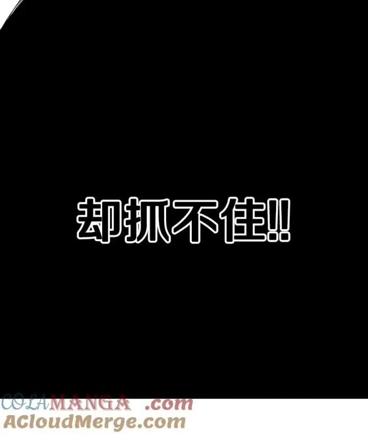 漫画《鲨鱼》324.专属特点第5张图