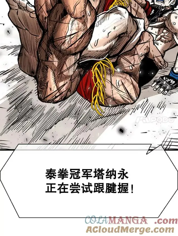 漫画《鲨鱼》346.TKO胜利第61张图