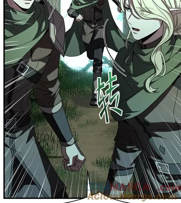 漫画《史诗级枪骑士再临》121.进攻精灵之森第105张图