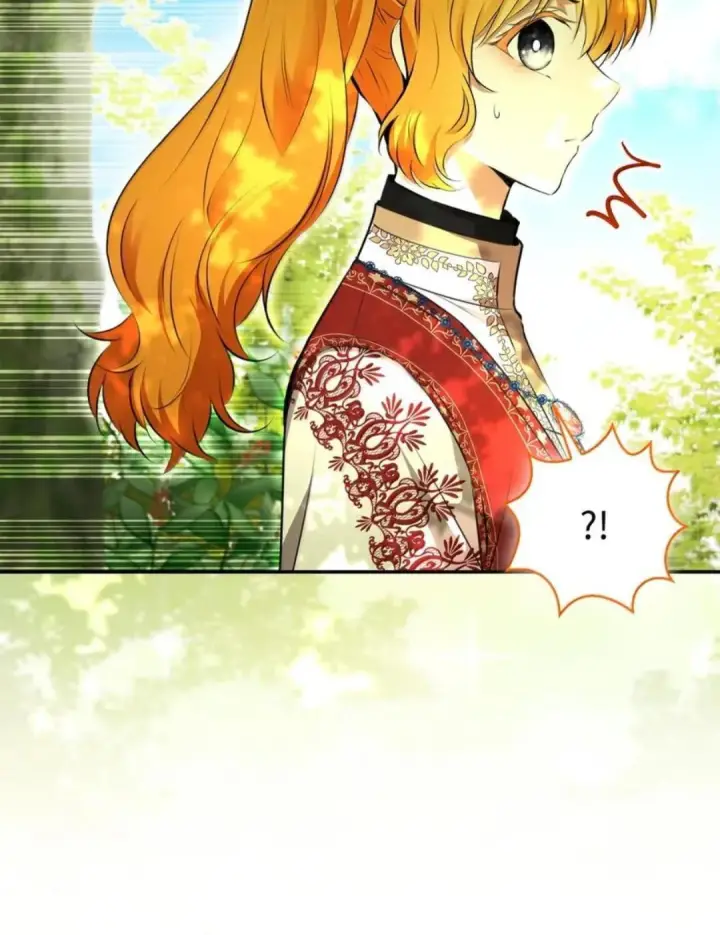 漫画《狮子公爵家的松鼠千金》103 这就是他逐个击败计划吗？第65张图