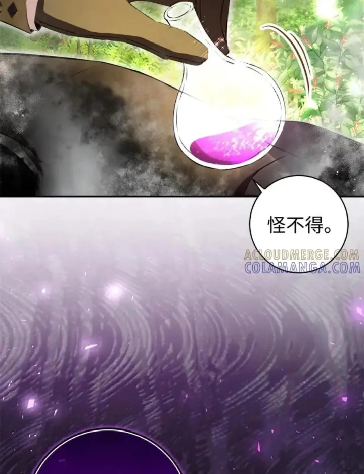 漫画《狮子公爵家的松鼠千金》103 这就是他逐个击败计划吗？第88张图