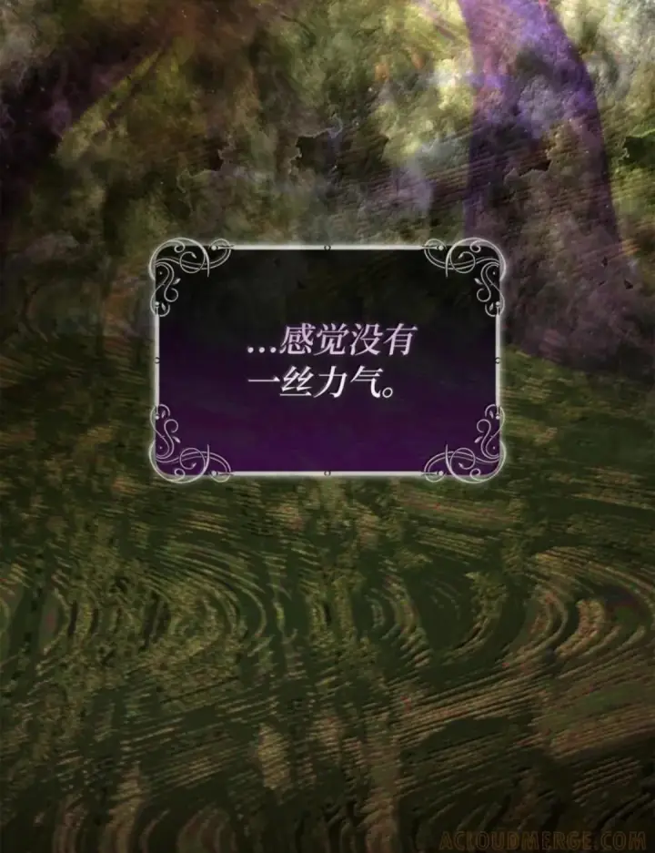 漫画《狮子公爵家的松鼠千金》103 这就是他逐个击败计划吗？第97张图