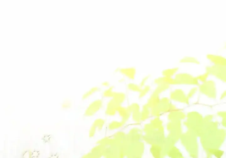 漫画《狮子公爵家的松鼠千金》番外3 我怎么变成这样了？！第220张图