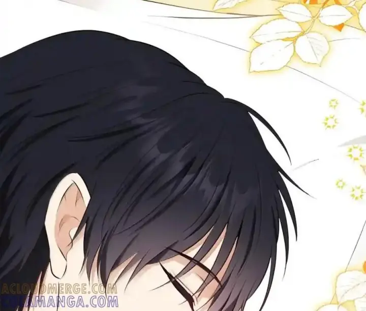 漫画《狮子公爵家的松鼠千金》番外3 我怎么变成这样了？！第225张图