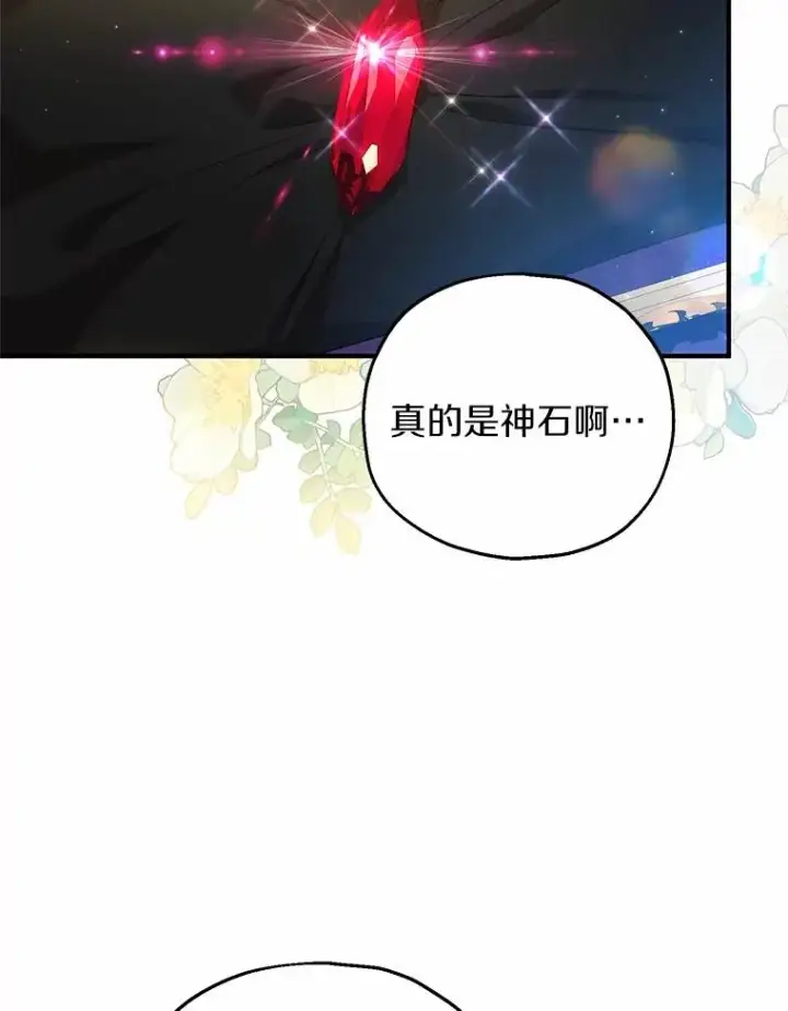 漫画《收养的儿媳准备弃养了》65.曾经的红宝石第23张图