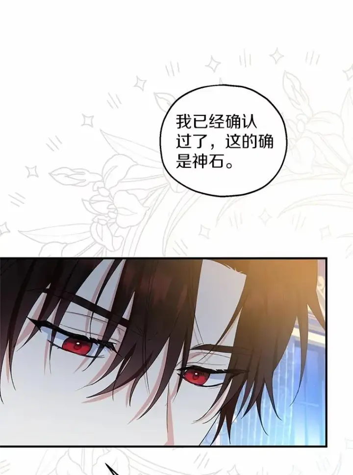 漫画《收养的儿媳准备弃养了》65.曾经的红宝石第67张图