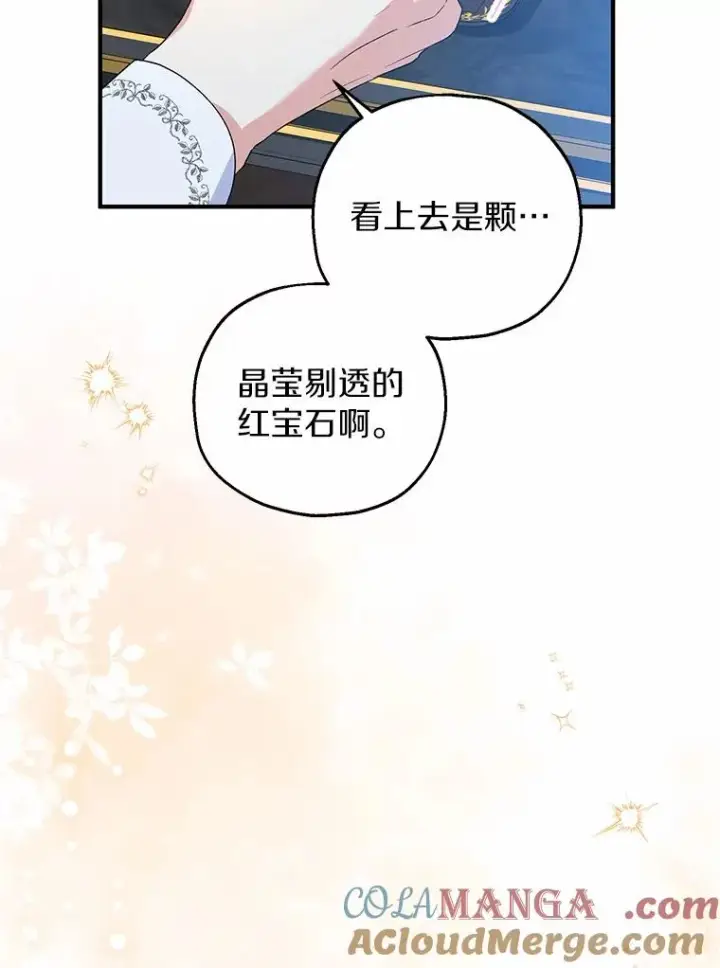 漫画《收养的儿媳准备弃养了》65.曾经的红宝石第69张图