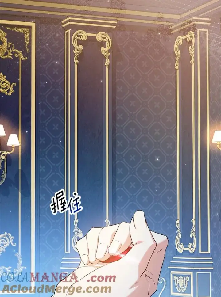 漫画《收养的儿媳准备弃养了》65.曾经的红宝石第85张图