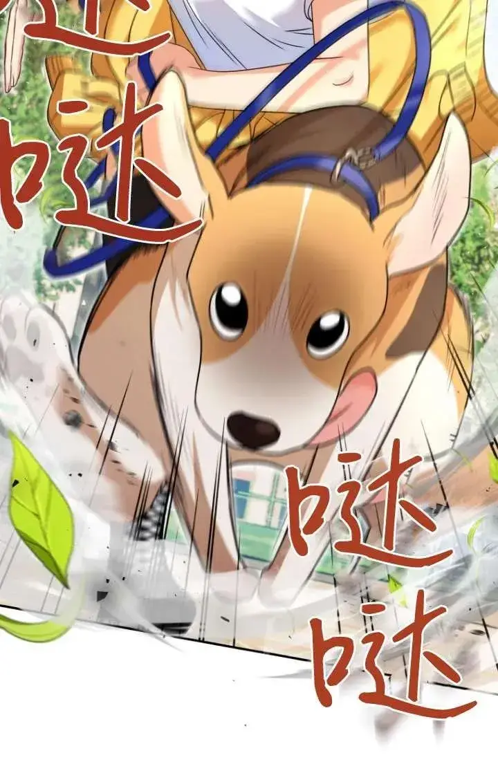 漫画《兽医先生！你好？》第31话第44张图