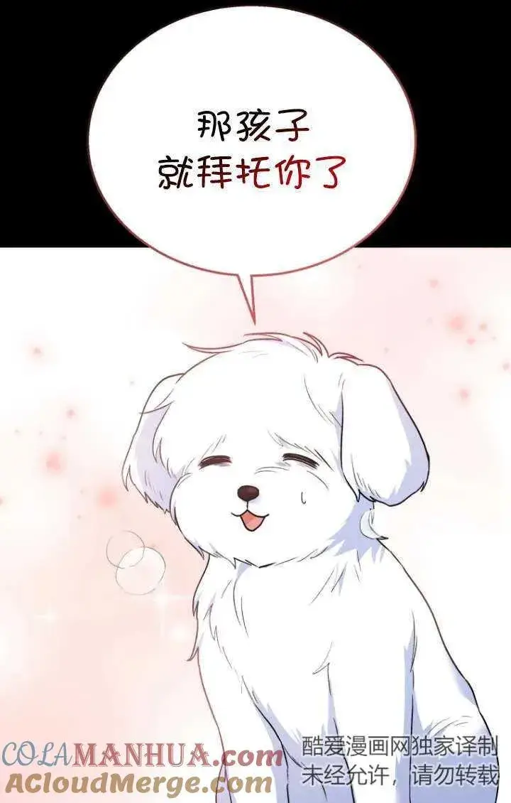 漫画《兽医先生！你好？》第32话第13张图