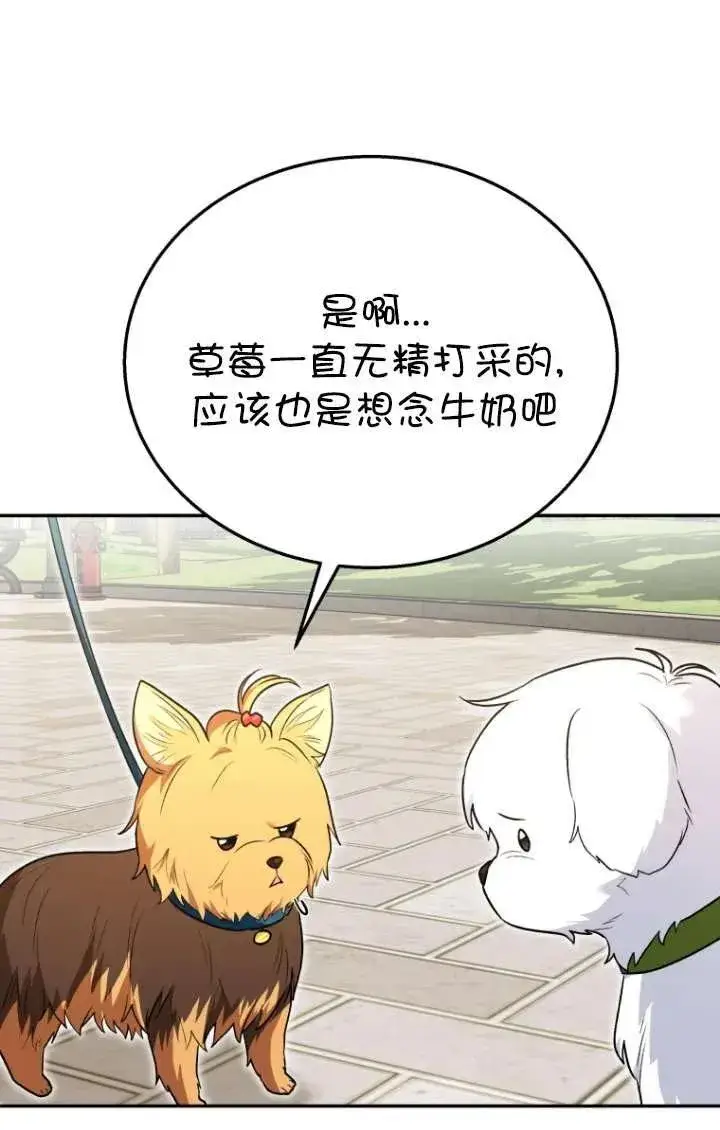 漫画《兽医先生！你好？》第32话第15张图
