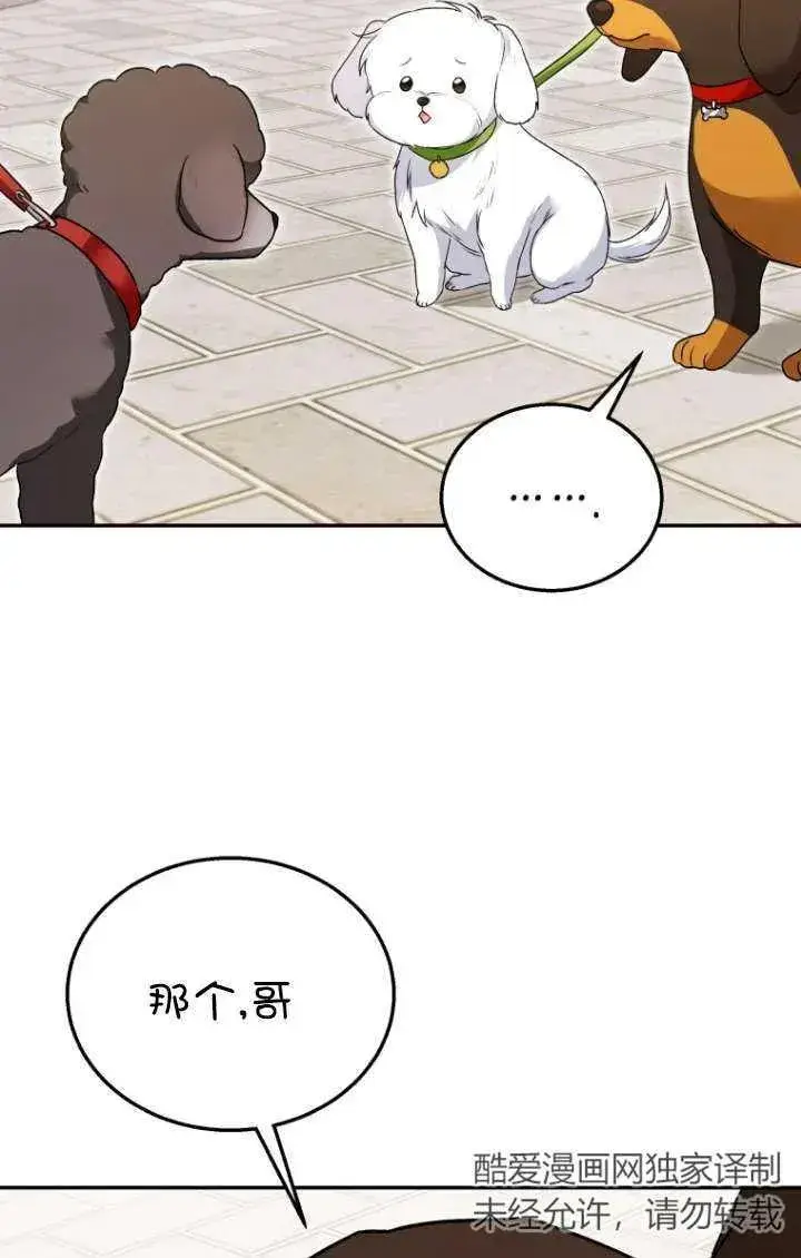 漫画《兽医先生！你好？》第32话第38张图