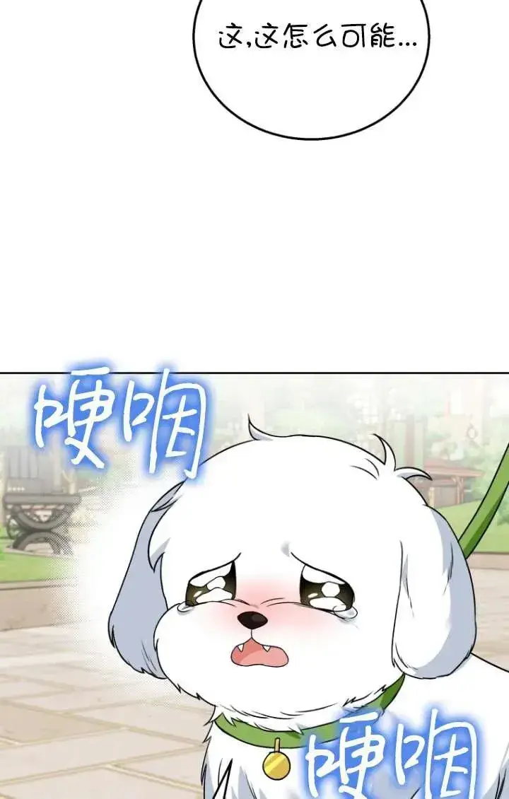 漫画《兽医先生！你好？》第32话第74张图