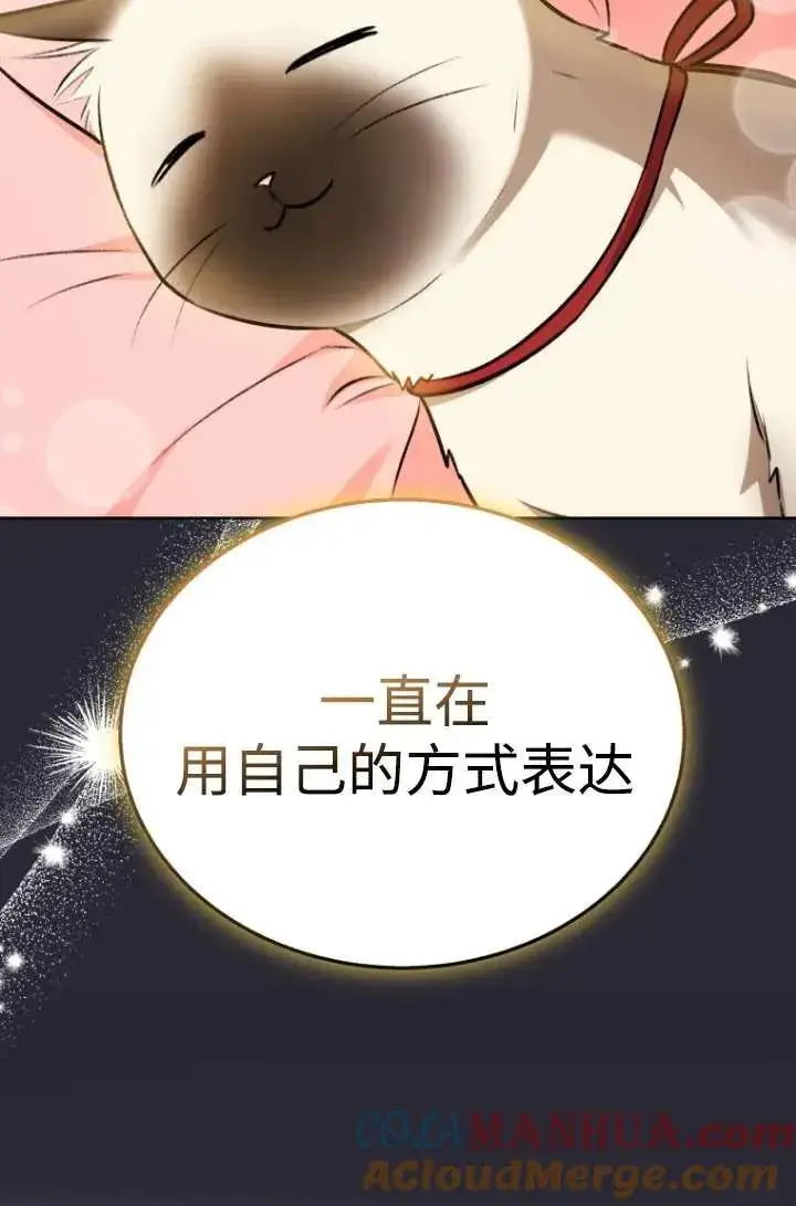 漫画《兽医先生！你好？》第33话第40张图