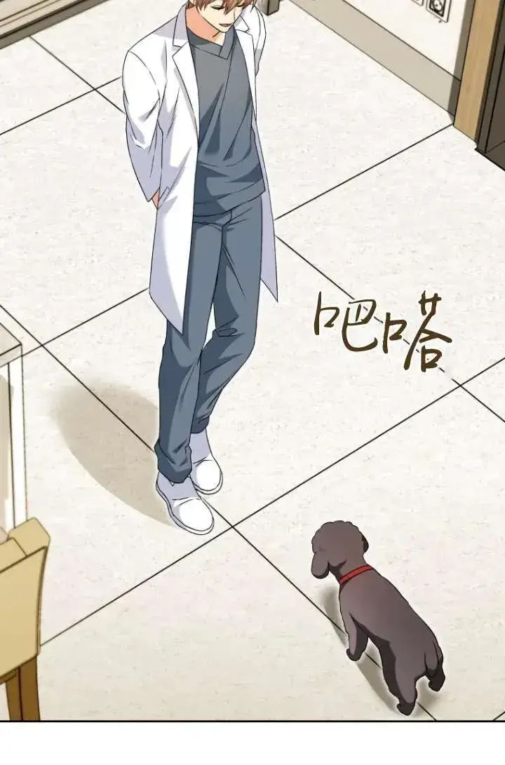 漫画《兽医先生！你好？》第33话第59张图