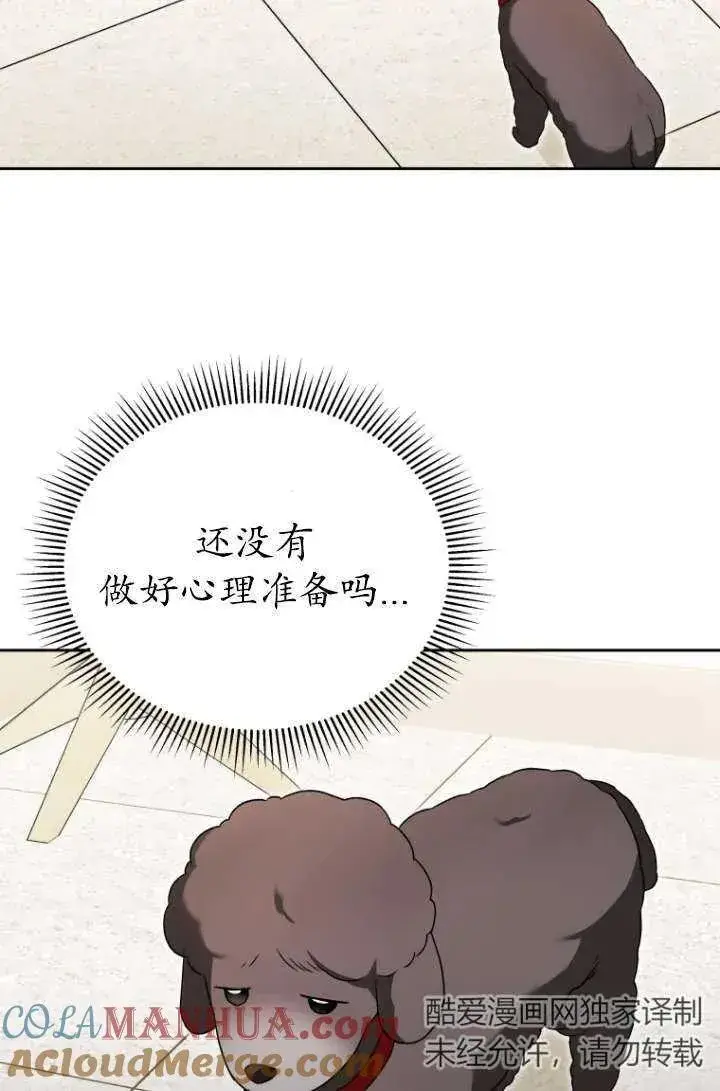 漫画《兽医先生！你好？》第33话第70张图