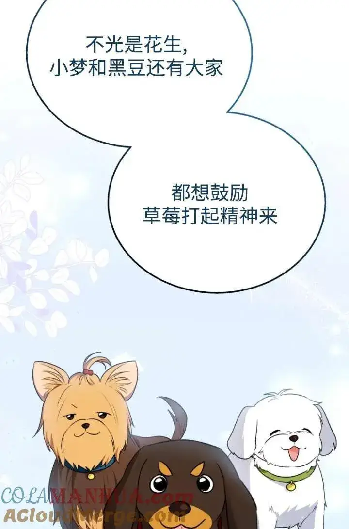 漫画《兽医先生！你好？》第33话第73张图
