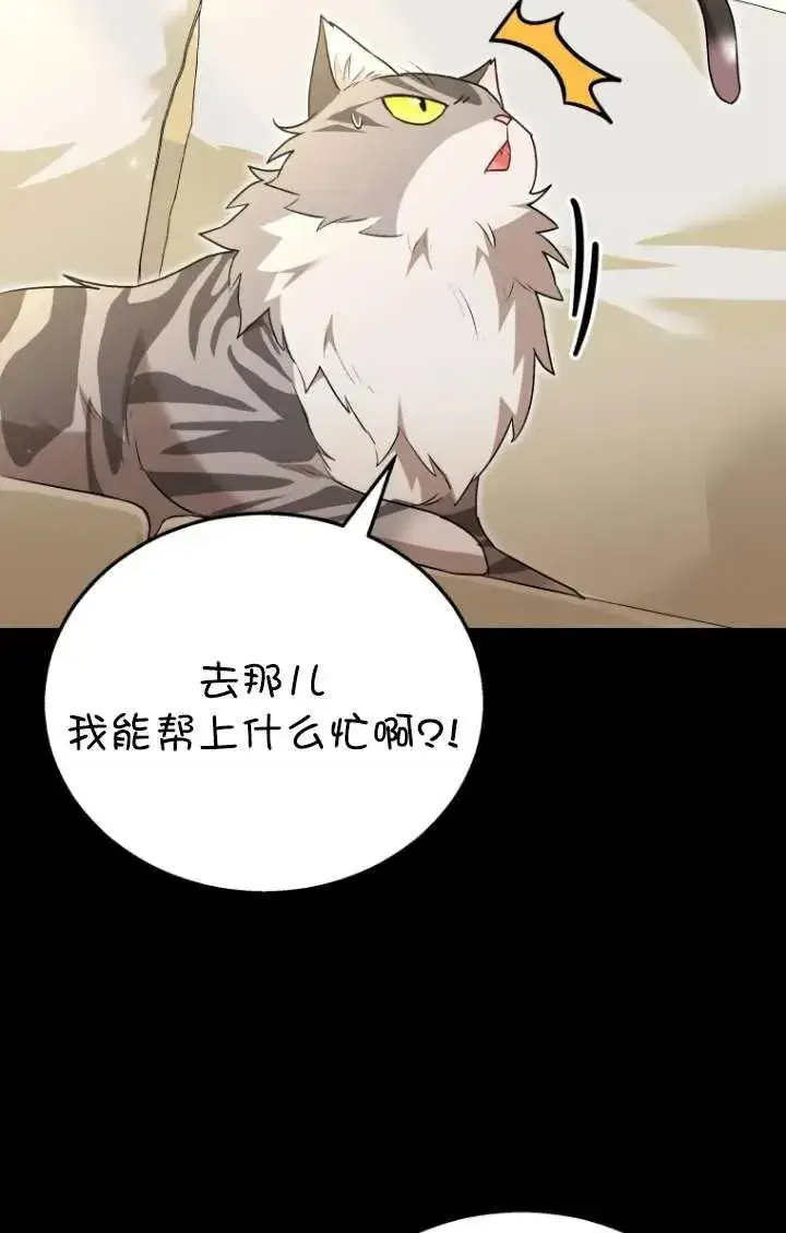 漫画《兽医先生！你好？》第35话第15张图