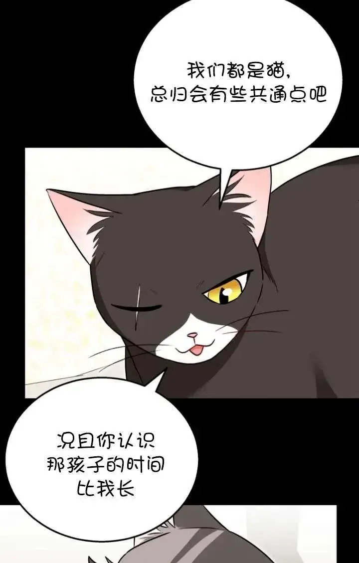 漫画《兽医先生！你好？》第35话第16张图