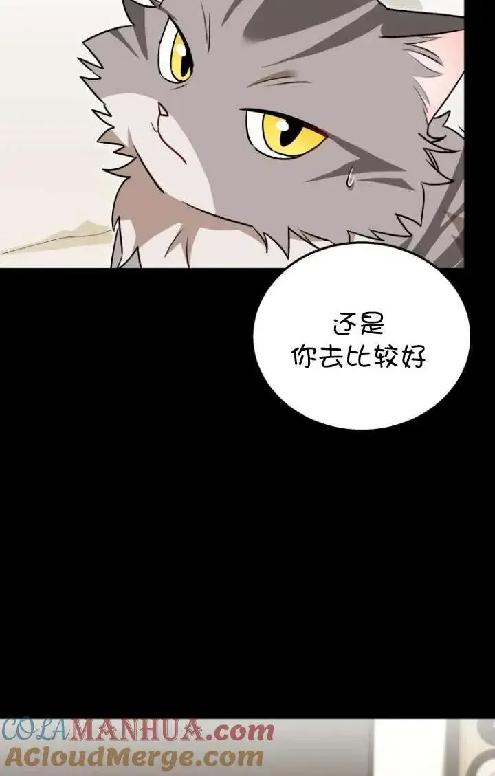漫画《兽医先生！你好？》第35话第17张图