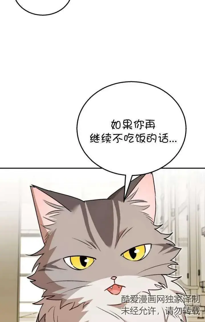 漫画《兽医先生！你好？》第35话第34张图