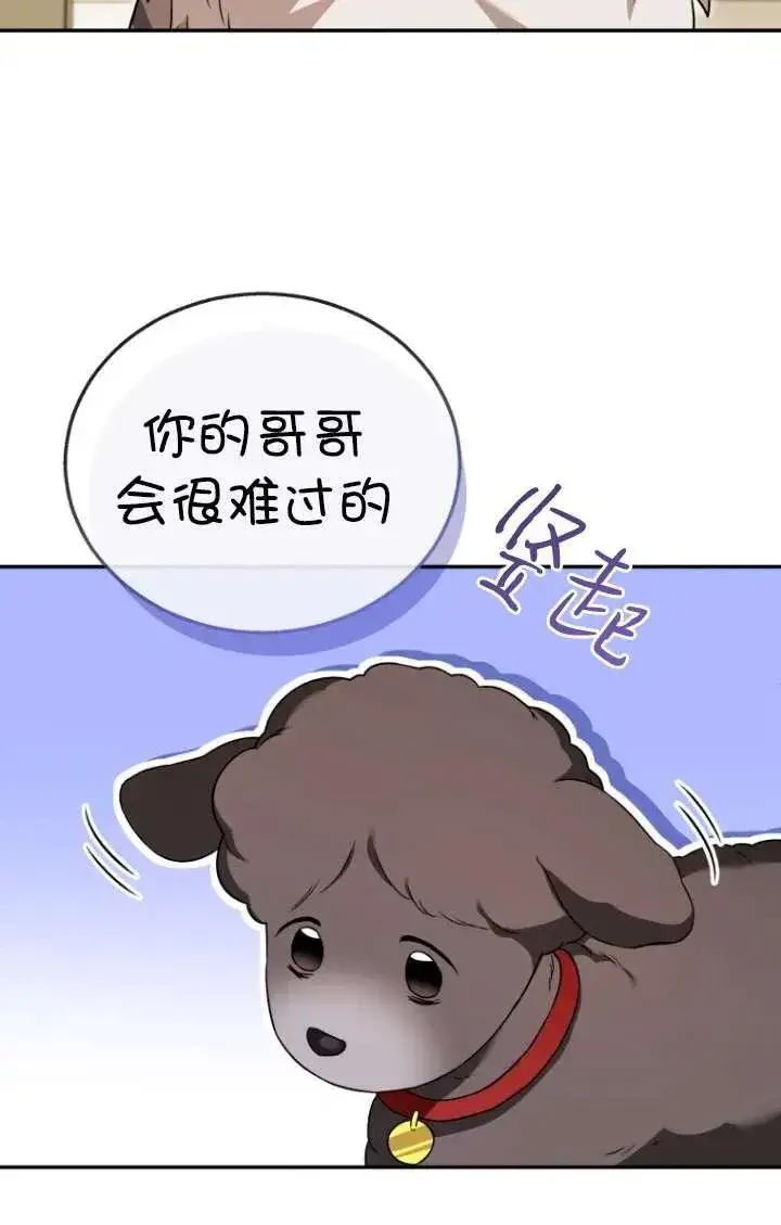 漫画《兽医先生！你好？》第35话第35张图