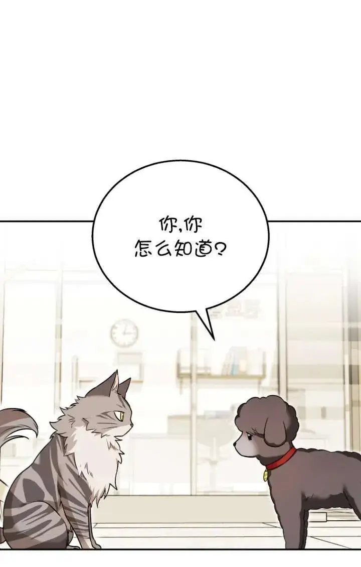 漫画《兽医先生！你好？》第35话第36张图