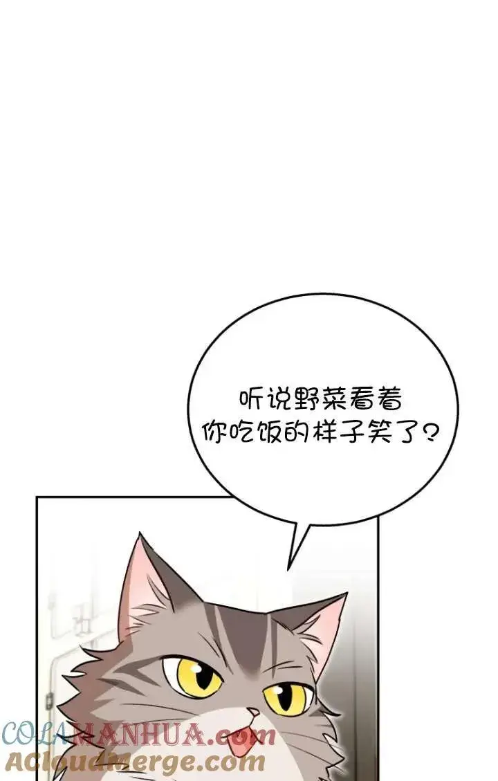 漫画《兽医先生！你好？》第35话第37张图
