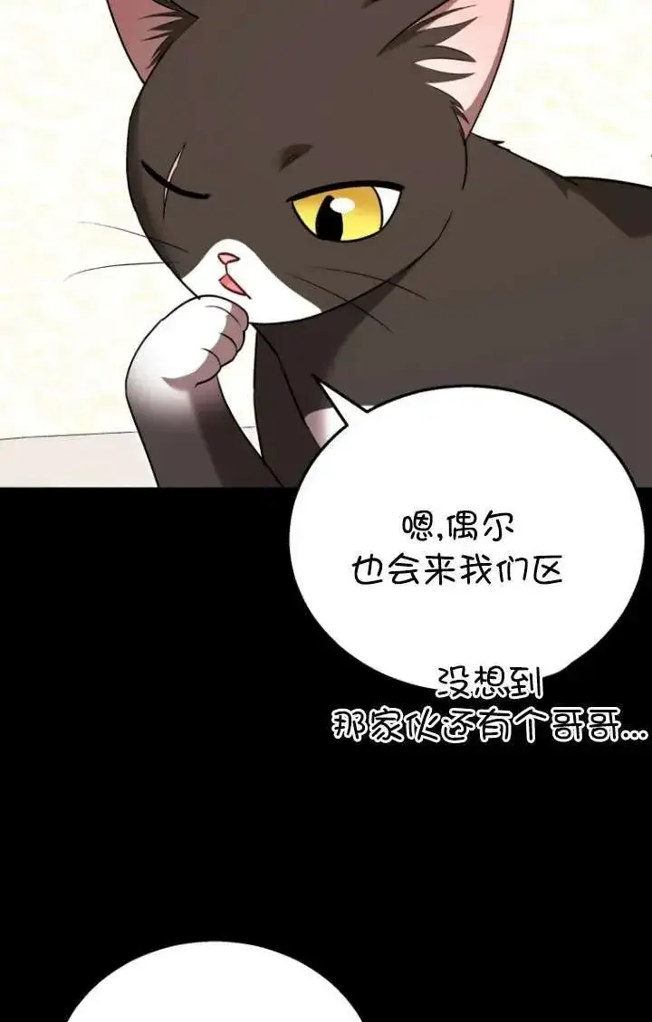 漫画《兽医先生！你好？》第35话第4张图