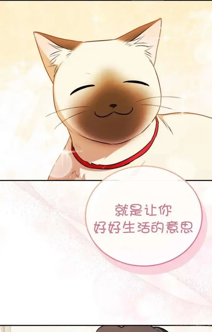漫画《兽医先生！你好？》第35话第40张图