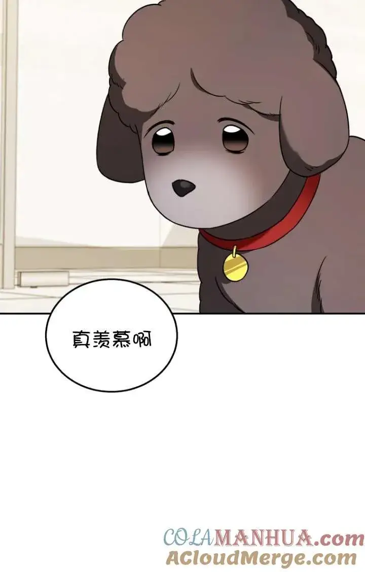 漫画《兽医先生！你好？》第35话第41张图