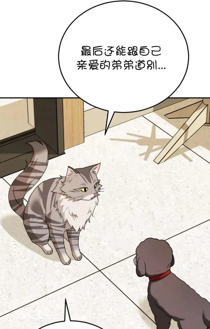 漫画《兽医先生！你好？》第35话第42张图
